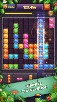 Block Puzzle: Star Gem Screen Shot 4