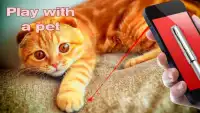 Laser Cat Simulator 2016 Screen Shot 1