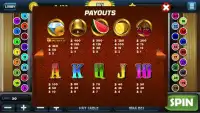 Fun Cash Slots - Jogos Livres Screen Shot 2