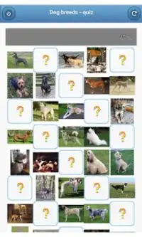 Dog breeds - quiz Screen Shot 0