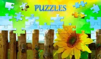 Puzzles free of charge Screen Shot 0