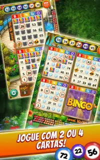 Bingo Quest: Summer Adventure Screen Shot 4