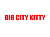 Big City Kitty Screen Shot 0