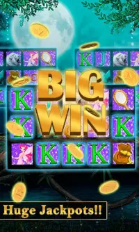 Lion 777 Fire Jackpot - Slots Mania Dom Free Spins Screen Shot 2