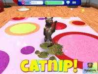 InstaKitty 3D-Virtual Cat Sim Screen Shot 10