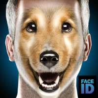 Was sind Sie Hund Gesicht ID Scanner Streich prank