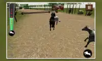 Glory Horse Racing Screen Shot 2