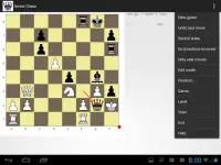 Senior Chess Screen Shot 1