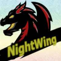 Nightwing the dragon runner