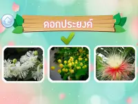 เกมส์ทายชื่อดอกไม้ไทย 2564 Screen Shot 8