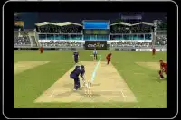 Cricket Games 2017 New Free Screen Shot 4