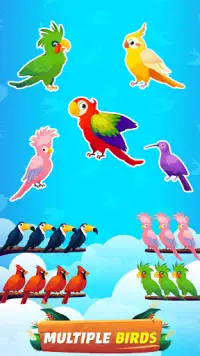 Bird Sort - Color Birds Game Screen Shot 16