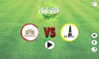 The Ultimate Cricket League Screen Shot 2