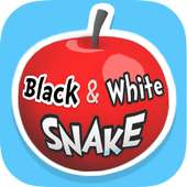 Black & White Snake