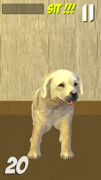 PetDog Game Screen Shot 1