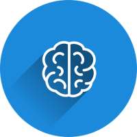 Brainify - The Brain Training App.
