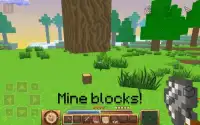 ICraft: block Build 3D crafting and building Screen Shot 0