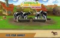 Crescita del foraggio dell'azienda agricola animal Screen Shot 0