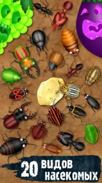 Hexapod игра насекомые жуки тараканы муравьи клещи Screen Shot 0