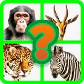 Animals2 quiz