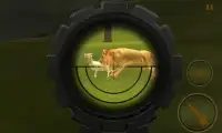 Lion Hunter 3D Screen Shot 6