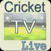 Live Cricket TV and Score News Screen Shot 0