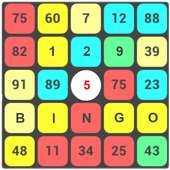 1 to 9 BINGO (Math Puzzle)