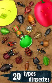 Hexapod jeux insecte coléoptères fourmis punaises Screen Shot 5