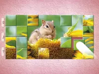 Little Animal Puzzles - Drag & Swap Screen Shot 14