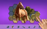 Hexa Jigsaw Puzzle ® Screen Shot 15