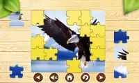 Vahşi Hayvanlar Puzzle Oyunlar Screen Shot 3