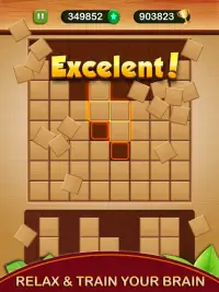 Wood Block Puzzle Games 2021 - Wooden Block Puzzle Screen Shot 13