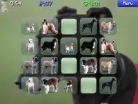 Dog Pairs - Memory Match Game Screen Shot 4