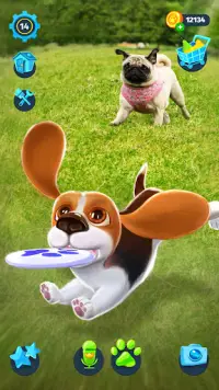 Tamadog - Pet Köpek oyunları Screen Shot 2
