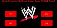 WWE Game Screen Shot 2