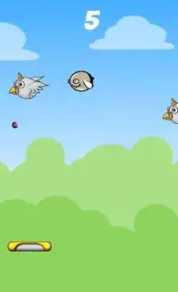 Bird Pong Screen Shot 1