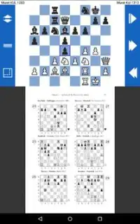 Chess Study: PDF PGN Lite Screen Shot 8