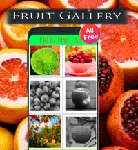 Fruit  Coloring Number Pixel New 2021 Screen Shot 2