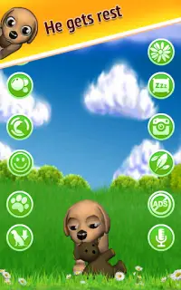 Catch Puppy Bizzy Free Kids Game Screen Shot 9