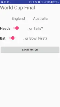 Cricket Simulator Screen Shot 0