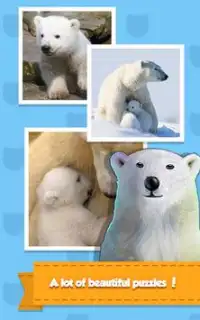 Polar Bear Screen Shot 2