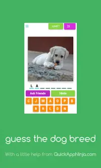 Guess The Dog Breed- Quiz Screen Shot 0