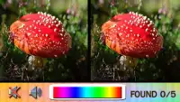 Find Difference mushroom Screen Shot 4