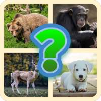 Guess The Animal - Quiz Game