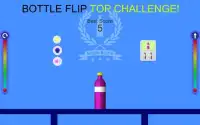 Bottle Flip TOP challenge! Screen Shot 16