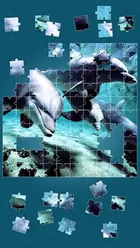 Sea Life Jigsaw Puzzles Screen Shot 11
