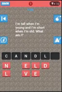 Riddles Game Screen Shot 1