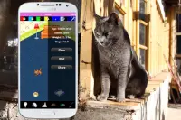 Katzen Pflege - Süße Kinder Kätzchen Simulation Screen Shot 3