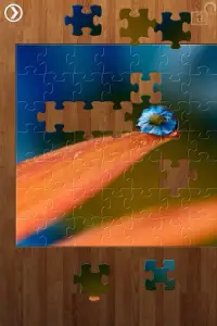Drops Jigsaw Puzzles Screen Shot 1