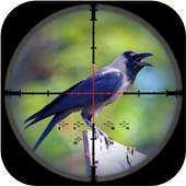 Crazy Crow Sniper Shooting